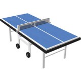 Ping pong table