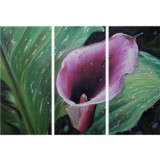 Pastel (Plum calla Tryptique)